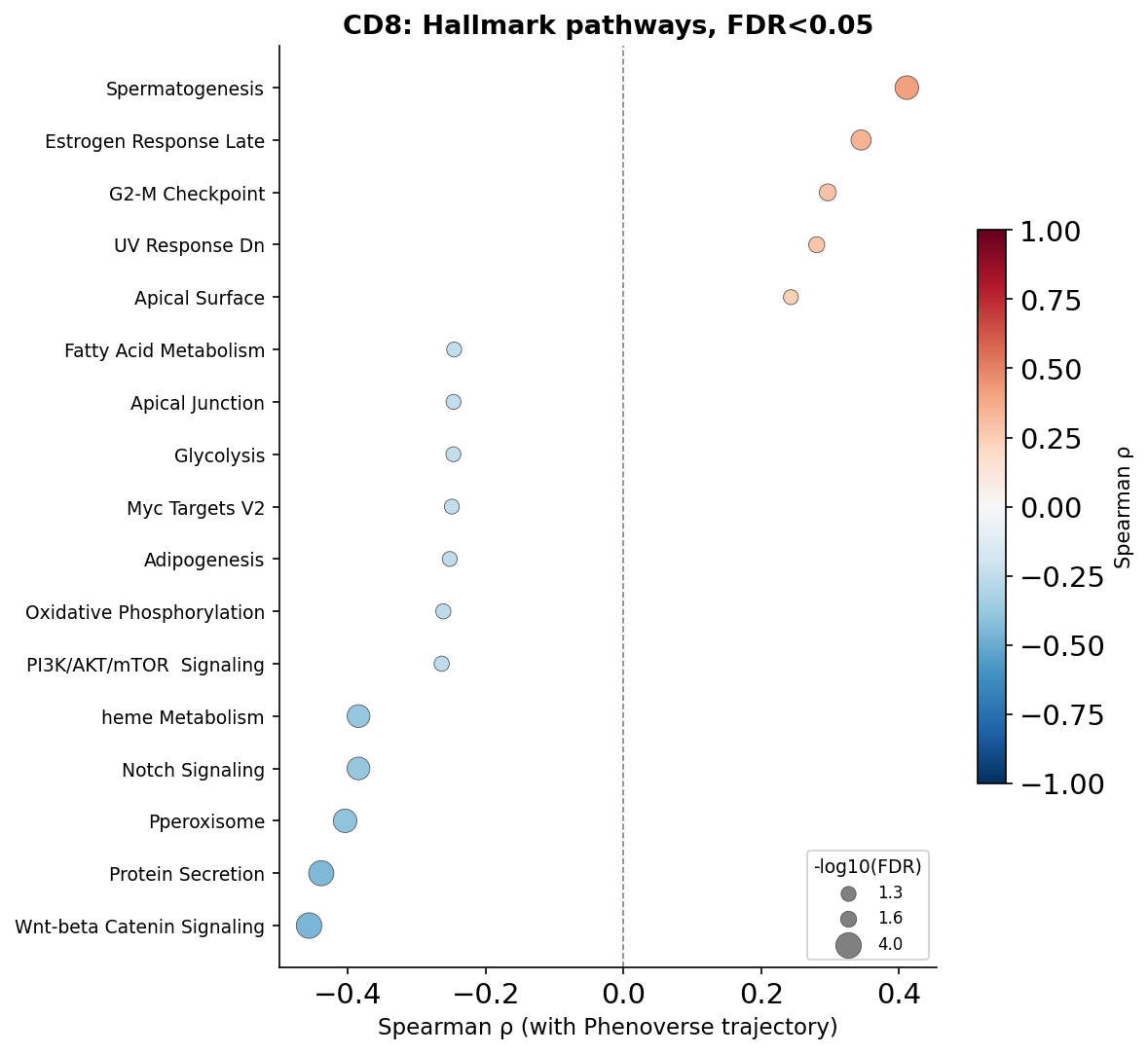 ssGSEA dot plot (CD8)