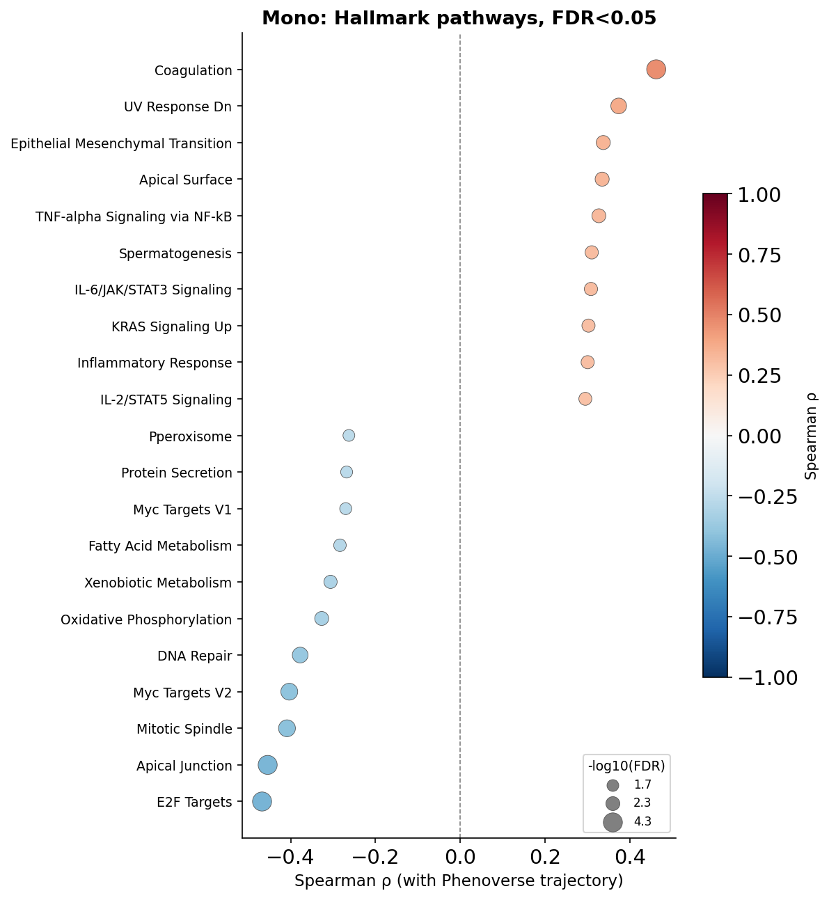 ssGSEA dot plot (Mono)