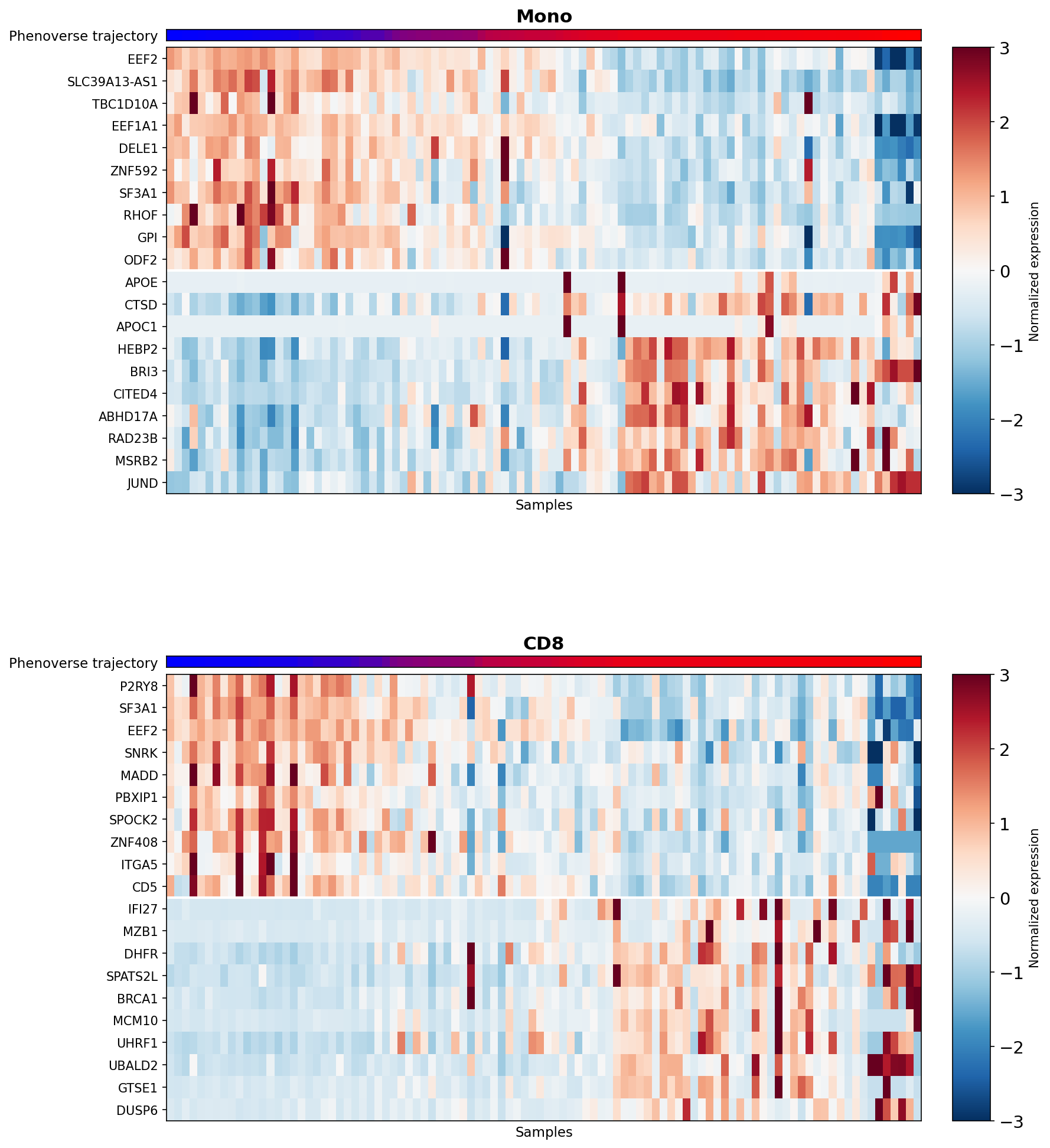 Trajectory-aware DE heatmap (Mono and CD8)