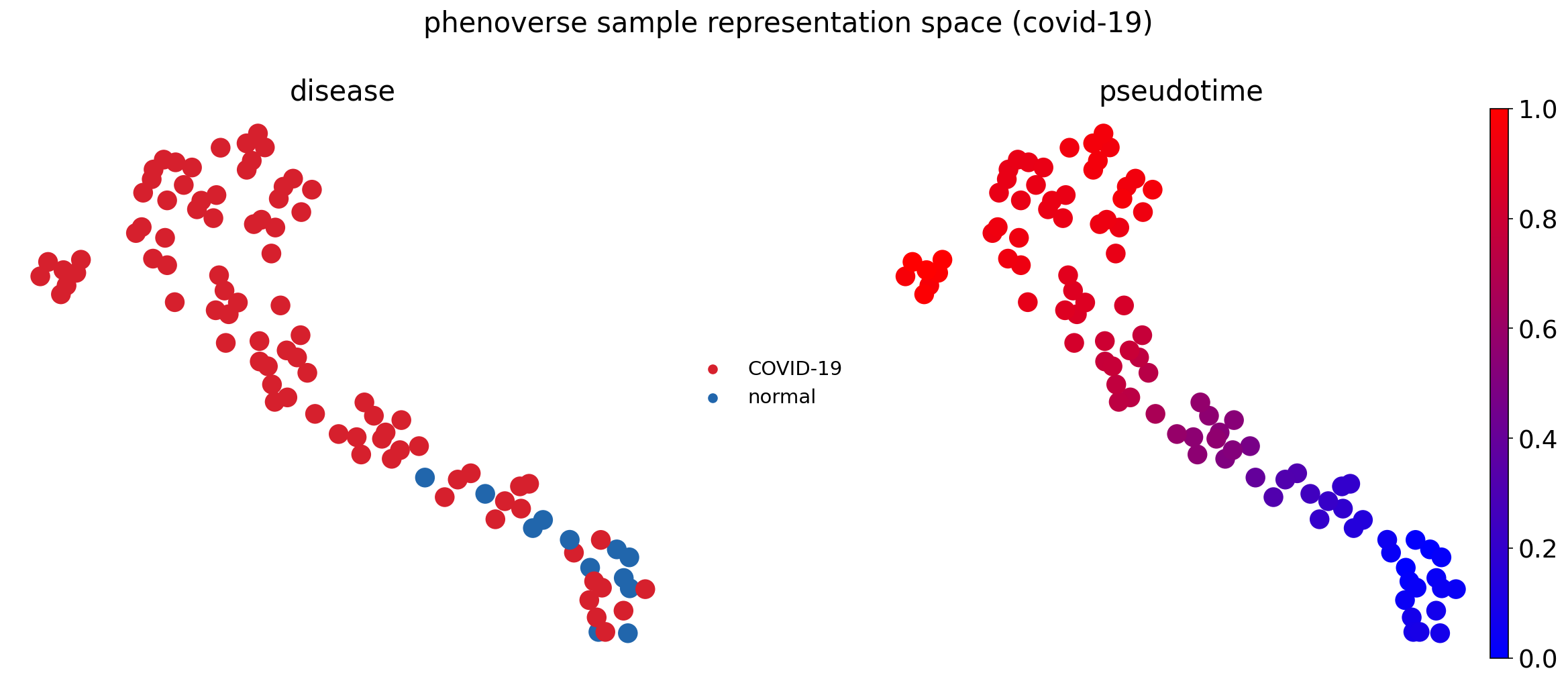 Phenoverse Sample Trajectory (COVID-19)